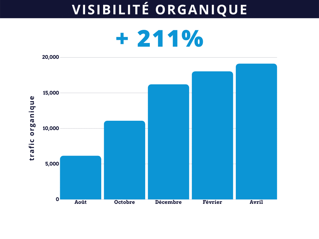 agence netlinking optimisation référencement naturel et visibilité organique