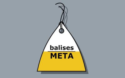 Balises Meta (Meta Tags) et SEO : le guide des bonnes pratiques pour bien les optimiser